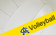 Volleyball Games