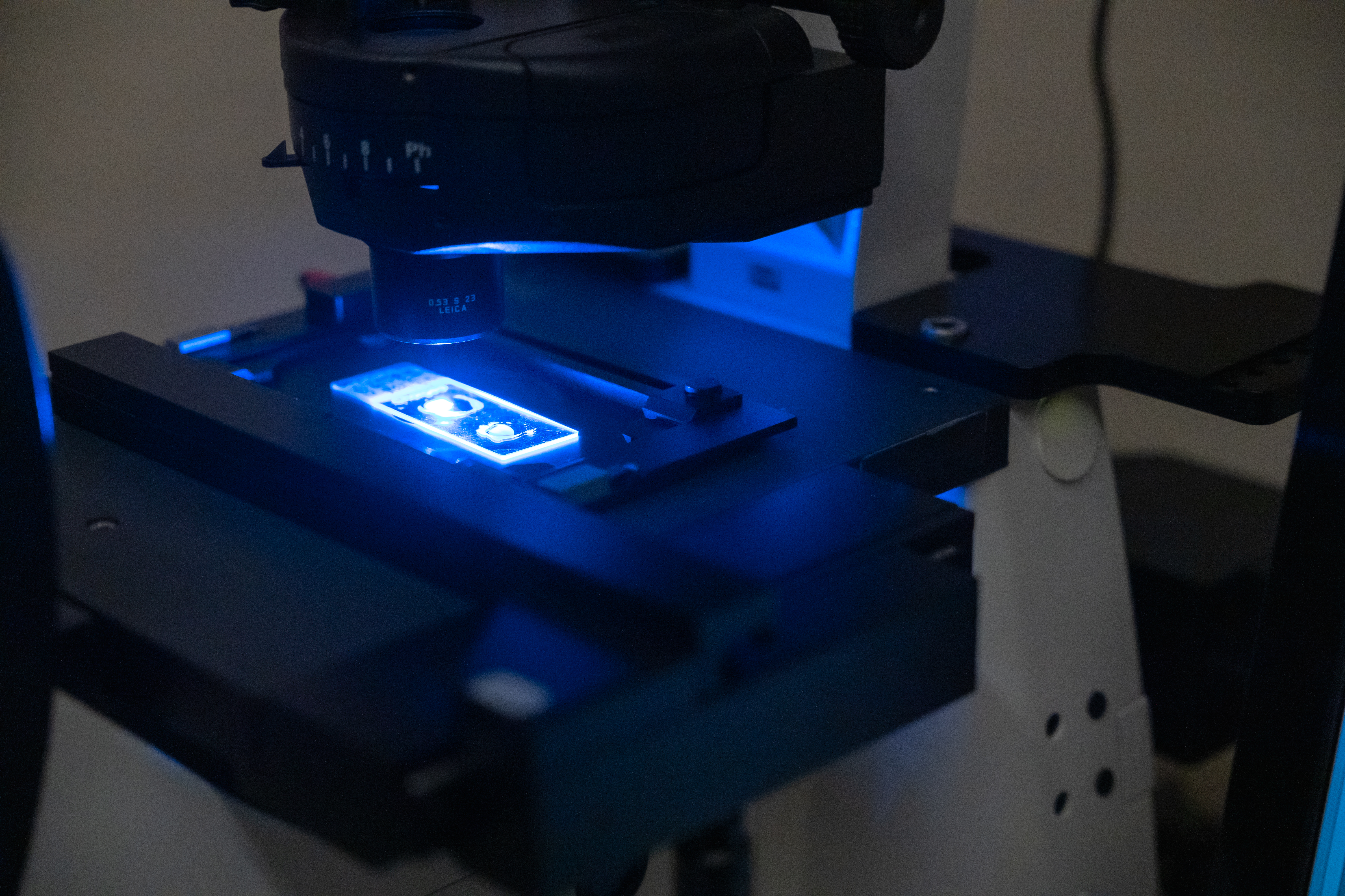 Neuroscience Microscope 2025