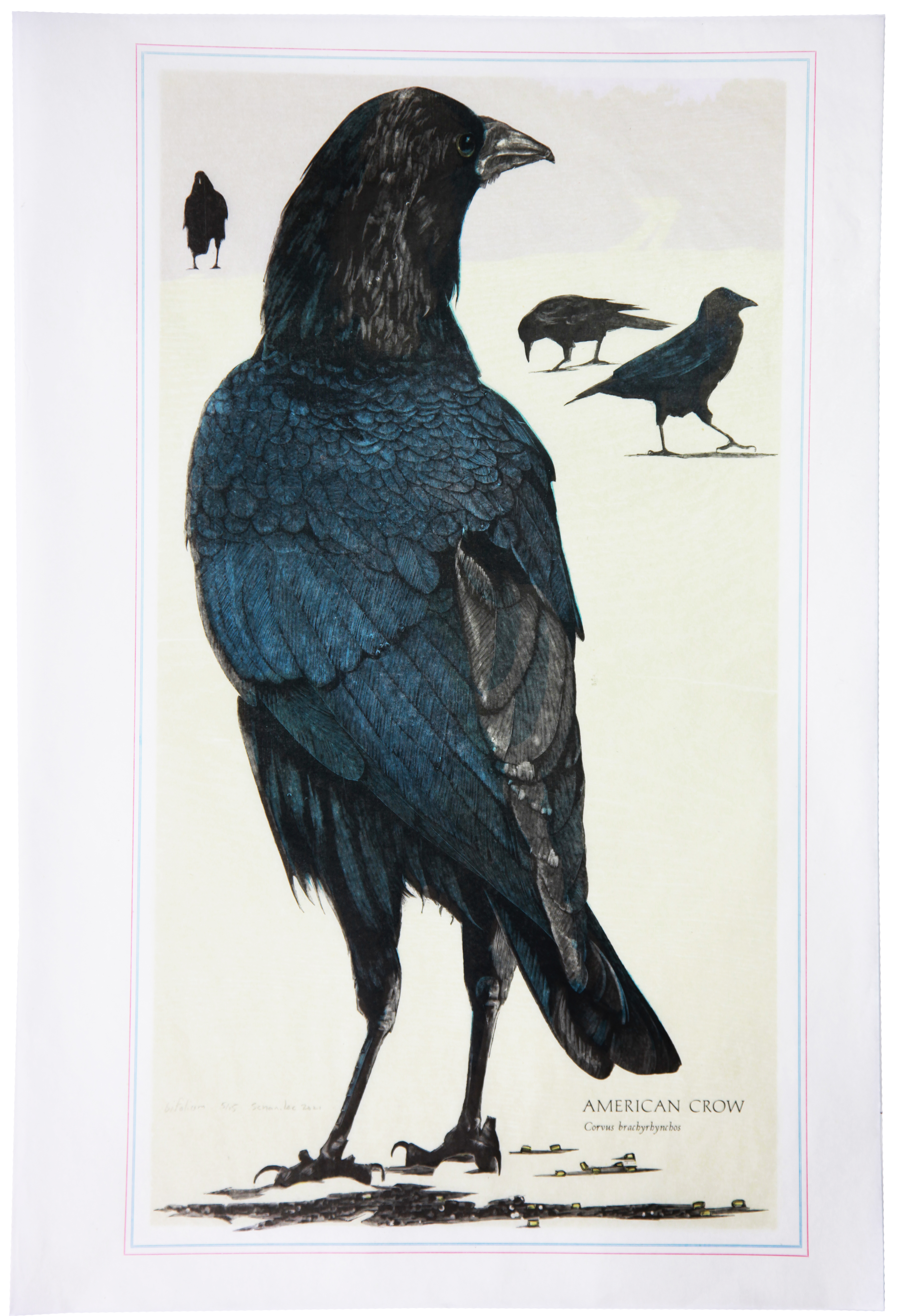 Gaylord Schanilec, “American Crow,” wood engraving, 2021.