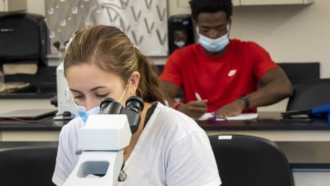 AU Students Working in the science lab.